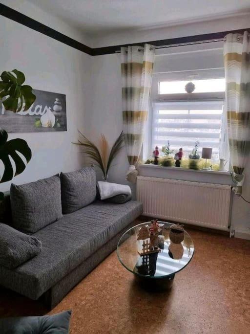 Ferienwohnung *Zur Weinbergstrasse* Lauta Bagian luar foto